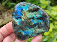 Polished Labradorite Standing Free Forms x 6 From Tulear, Madagascar