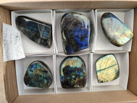 Polished Labradorite Standing Free Forms x 6 From Tulear, Madagascar