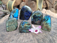 Polished Labradorite Standing Free Forms x 6 From Tulear, Madagascar