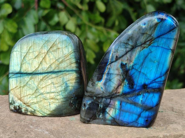 Polished Labradorite Standing Free Forms x 6 From Tulear, Madagascar