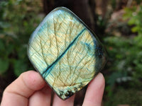 Polished Labradorite Standing Free Forms x 6 From Tulear, Madagascar