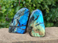 Polished Labradorite Standing Free Forms x 6 From Tulear, Madagascar