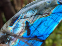 Polished Labradorite Standing Free Forms x 6 From Tulear, Madagascar