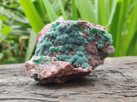 Natural Drusy Ball Malachite On Dolomite Matrix Specimens x 2 From Mindingi Mine, Kambove, Congo