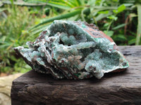 Natural Drusy Ball Malachite On Dolomite Matrix Specimens x 2 From Mindingi Mine, Kambove, Congo
