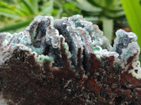 Natural Drusy Ball Malachite On Dolomite Matrix Specimens x 2 From Mindingi Mine, Kambove, Congo