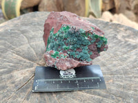 Natural Drusy Ball Malachite On Dolomite Matrix Specimens x 2 From Mindingi Mine, Kambove, Congo