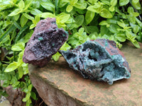Natural Drusy Ball Malachite On Dolomite Matrix Specimens x 2 From Mindingi Mine, Kambove, Congo