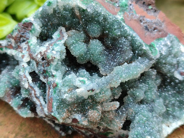 Natural Drusy Ball Malachite On Dolomite Matrix Specimens x 2 From Mindingi Mine, Kambove, Congo