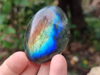 Polished Labradorite Galets x 20 From Tulear, Madagascar