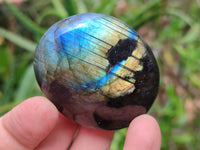 Polished Labradorite Galets x 20 From Tulear, Madagascar