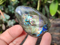 Polished Labradorite Galets x 20 From Tulear, Madagascar