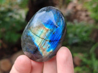 Polished Labradorite Galets x 20 From Tulear, Madagascar
