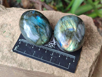 Polished Labradorite Galets x 20 From Tulear, Madagascar