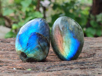 Polished Labradorite Galets x 20 From Tulear, Madagascar
