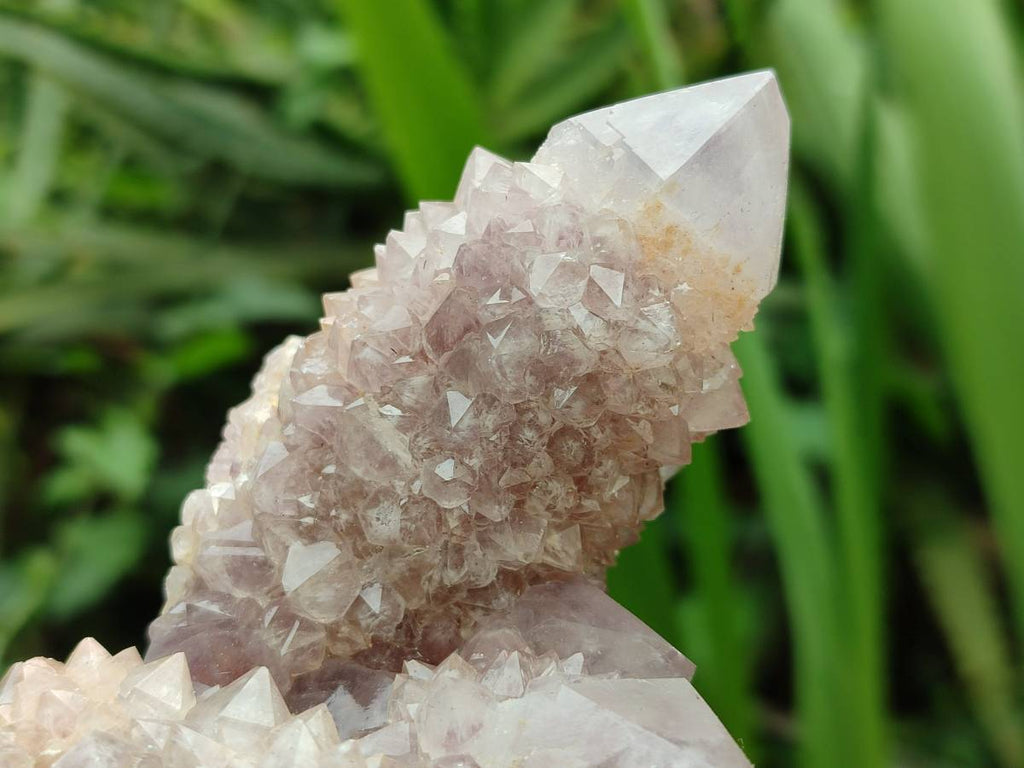 Natural Amethyst Spirit Quartz Clusters x 3 From Boekenhouthoek, South Africa - Toprock Gemstones and Minerals 