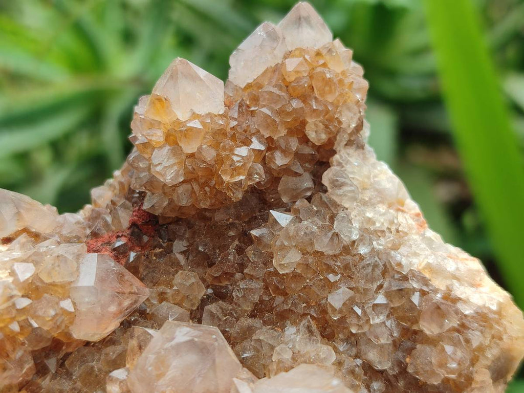 Natural Amethyst Spirit Quartz Clusters x 3 From Boekenhouthoek, South Africa - Toprock Gemstones and Minerals 