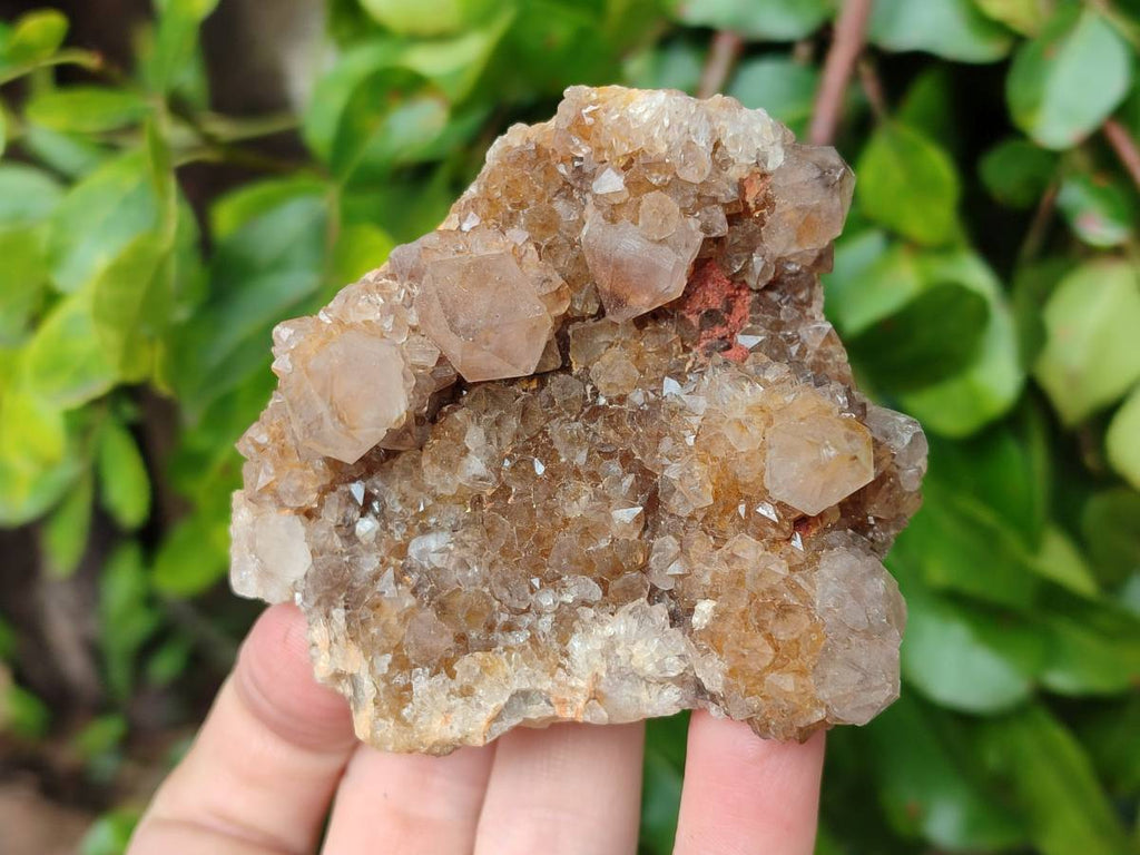 Natural Amethyst Spirit Quartz Clusters x 3 From Boekenhouthoek, South Africa - Toprock Gemstones and Minerals 