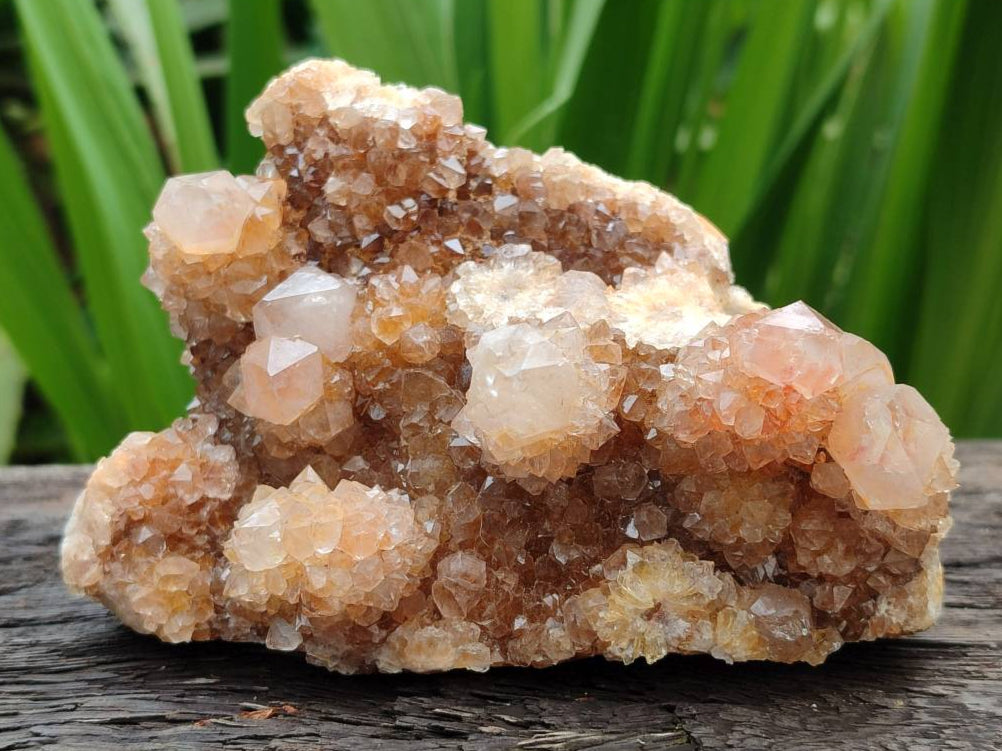 Natural Amethyst Spirit Quartz Clusters x 3 From Boekenhouthoek, South Africa - Toprock Gemstones and Minerals 