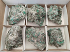 Natural Emerald Mica 'Mutokolite' Cobbed Specimens x 6 From Mutoko, Zimbabwe - Toprock Gemstones and Minerals 