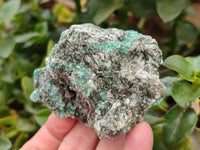 Natural Emerald Mica 'Mutokolite' Cobbed Specimens x 6 From Mutoko, Zimbabwe