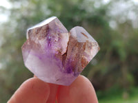 Polished Window Amethyst Crystals x 12 From Akansobe, Madagascar