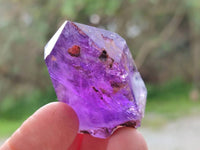 Polished Window Amethyst Crystals x 12 From Akansobe, Madagascar