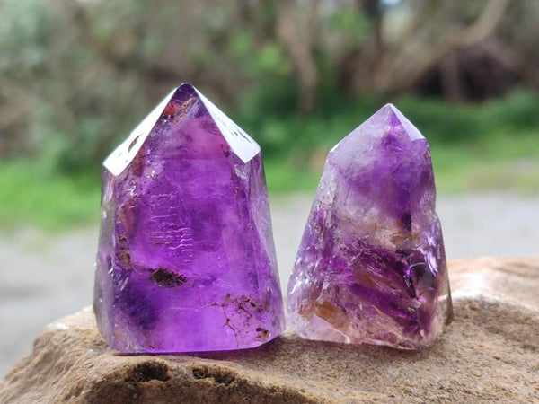 Polished Window Amethyst Crystals x 12 From Akansobe, Madagascar