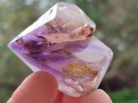 Polished Window Amethyst Crystals x 12 From Akansobe, Madagascar