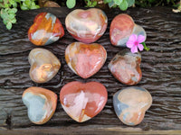 Polished Polychrome Jasper Hearts x 12 From NW Coast, Madagascar