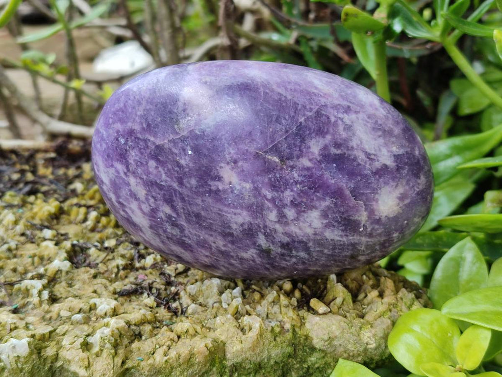 Polished Lepidolite Free Forms x 2 From Zimbabwe - Toprock Gemstones and Minerals 