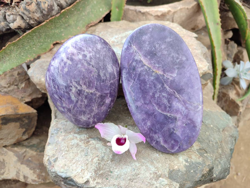 Polished Lepidolite Free Forms x 2 From Zimbabwe - Toprock Gemstones and Minerals 