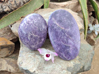 Polished Lepidolite Free Forms x 2 From Zimbabwe