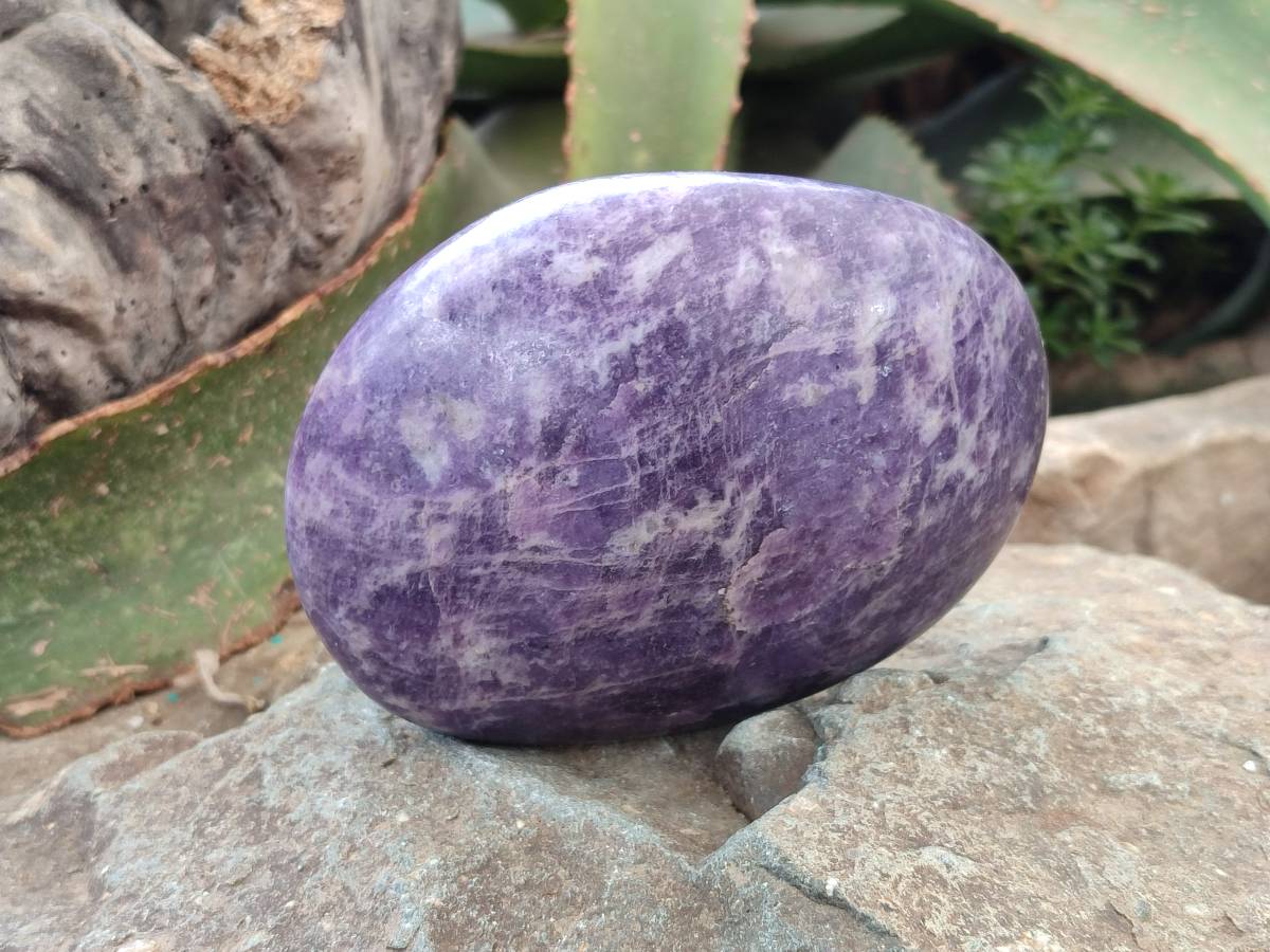 Polished Lepidolite Free Forms x 2 From Zimbabwe - Toprock Gemstones and Minerals 
