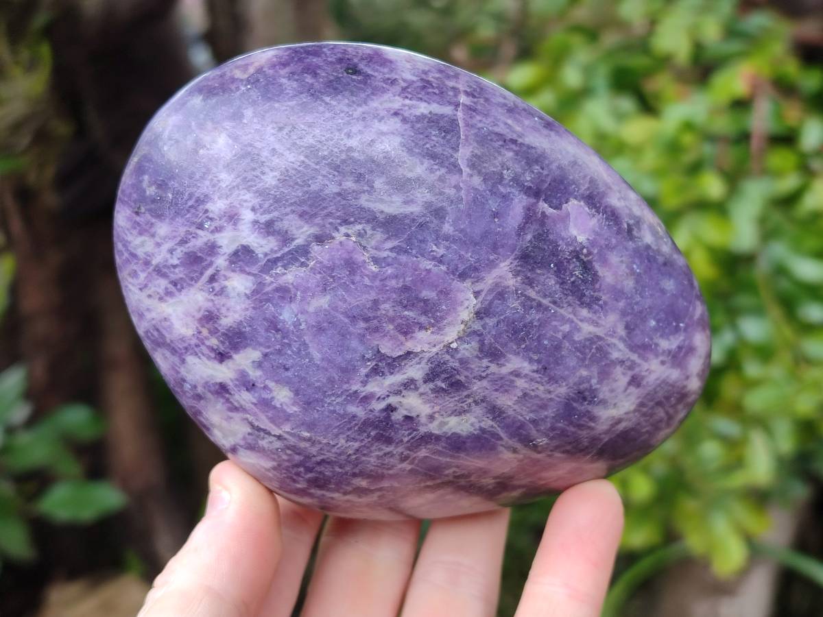 Polished Lepidolite Free Forms x 2 From Zimbabwe - Toprock Gemstones and Minerals 
