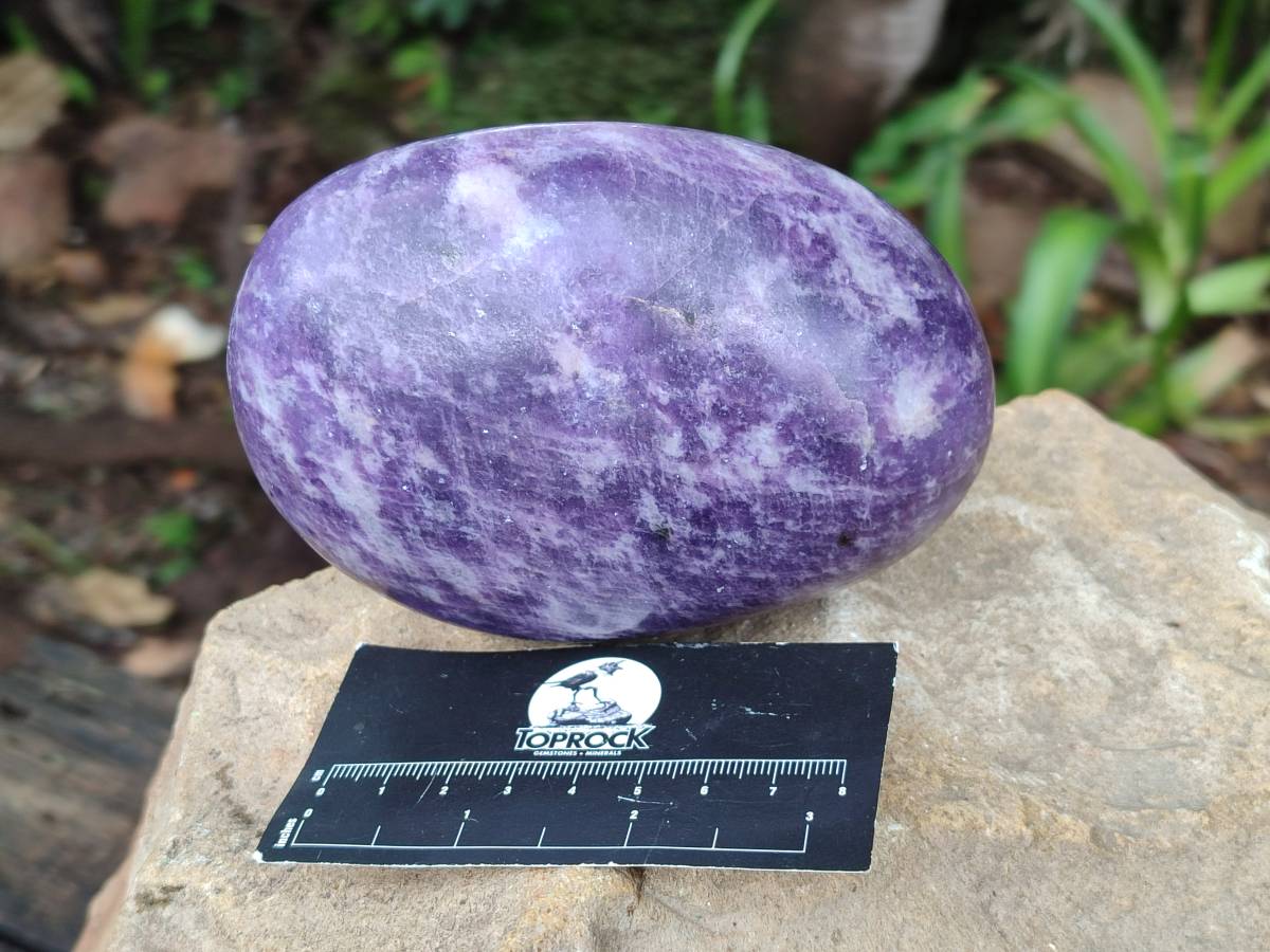Polished Lepidolite Free Forms x 2 From Zimbabwe - Toprock Gemstones and Minerals 