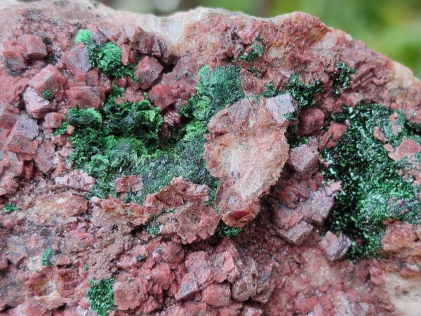 Natural Salrose Cobaltion Dolomite with Malachite Specimens x 6 From Kakanda, Congo