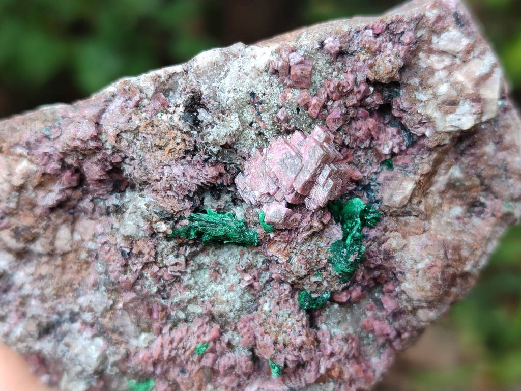 Natural Salrose Cobaltion Dolomite with Malachite Specimens x 6 From Kakanda, Congo - Toprock Gemstones and Minerals 