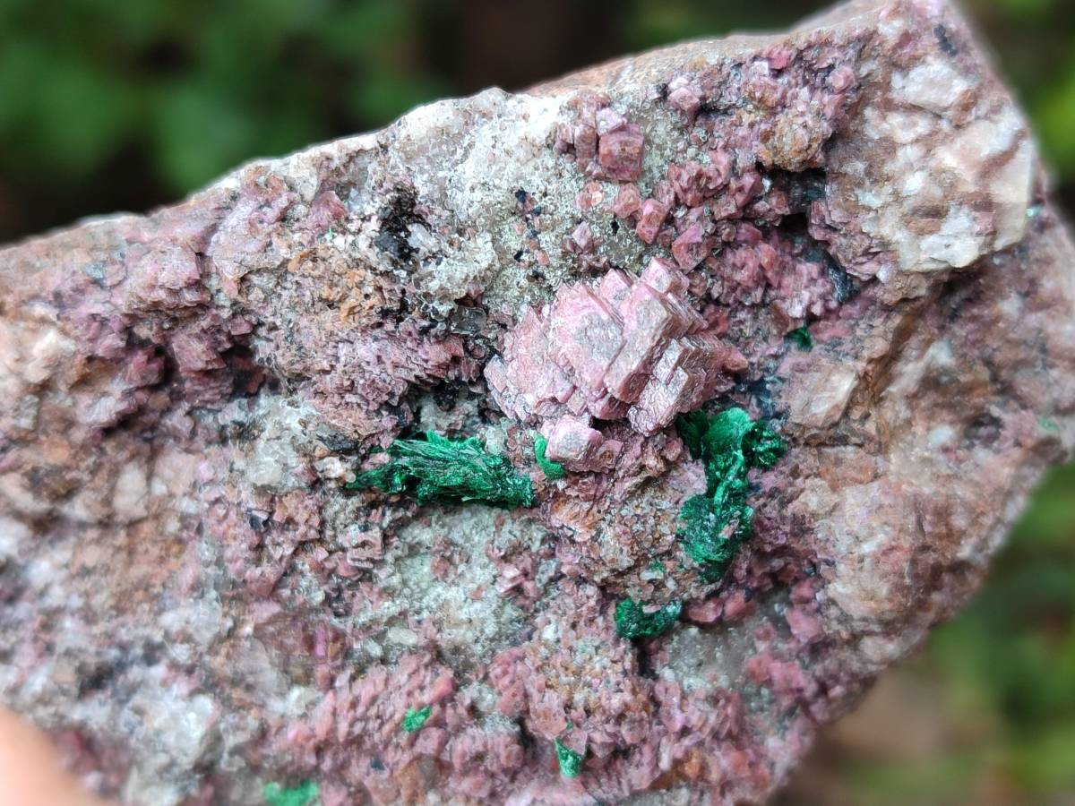 Natural Salrose Cobaltion Dolomite with Malachite Specimens x 6 From Kakanda, Congo - Toprock Gemstones and Minerals 