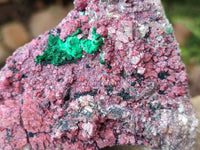 Natural Salrose Cobaltion Dolomite with Malachite Specimens x 6 From Kakanda, Congo