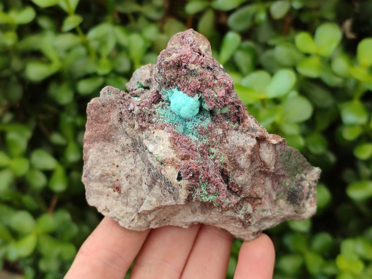 Natural Salrose Cobaltion Dolomite with Malachite Specimens x 6 From Kakanda, Congo - Toprock Gemstones and Minerals 