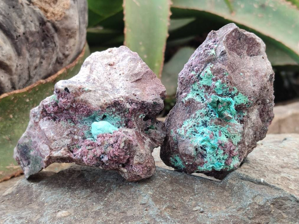 Natural Salrose Cobaltion Dolomite with Malachite Specimens x 6 From Kakanda, Congo - Toprock Gemstones and Minerals 