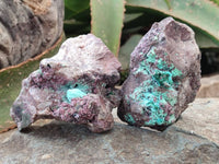 Natural Salrose Cobaltion Dolomite with Malachite Specimens x 6 From Kakanda, Congo