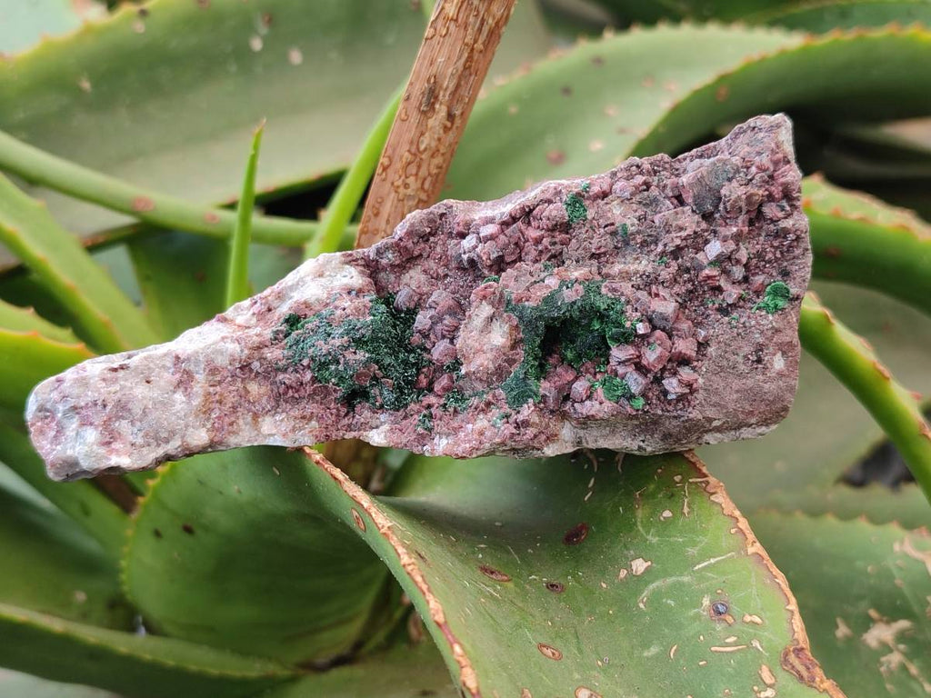 Natural Salrose Cobaltion Dolomite with Malachite Specimens x 6 From Kakanda, Congo - Toprock Gemstones and Minerals 
