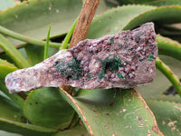 Natural Salrose Cobaltion Dolomite with Malachite Specimens x 6 From Kakanda, Congo