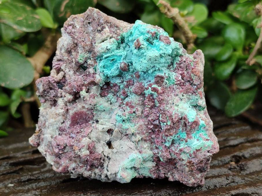 Natural Salrose Cobaltion Dolomite with Malachite Specimens x 6 From Kakanda, Congo - Toprock Gemstones and Minerals 