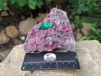 Natural Salrose Cobaltion Dolomite with Malachite Specimens x 6 From Kakanda, Congo