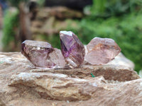 Natural Window Amethyst Crystals x 71 From Chiredzi, Zimbabwe