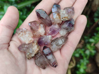 Natural Window Amethyst Crystals x 71 From Chiredzi, Zimbabwe