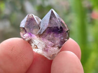 Natural Window Amethyst Crystals x 71 From Chiredzi, Zimbabwe